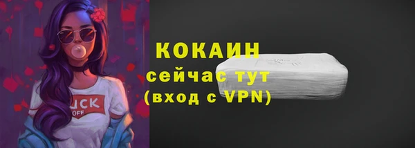 ГАЛЛЮЦИНОГЕННЫЕ ГРИБЫ Новозыбков