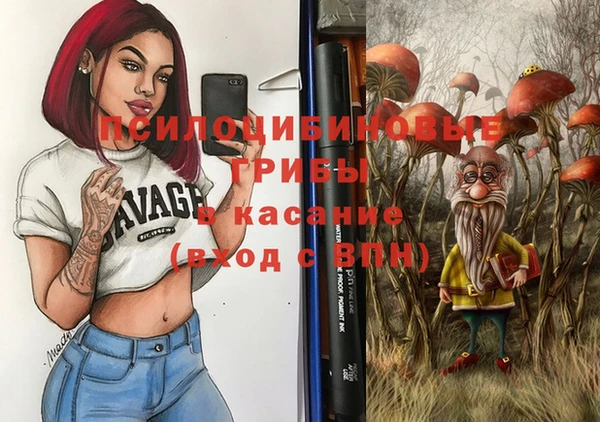 альфа пвп Новодвинск