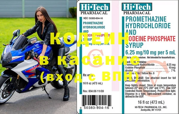 ГАЛЛЮЦИНОГЕННЫЕ ГРИБЫ Новозыбков