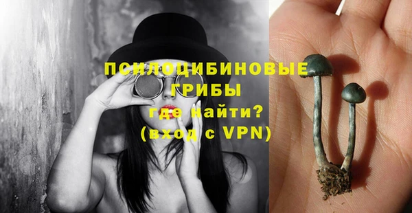 альфа пвп Новодвинск