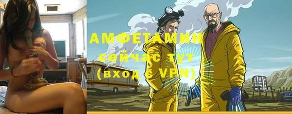 ГАЛЛЮЦИНОГЕННЫЕ ГРИБЫ Новозыбков