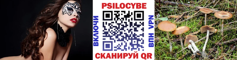 Купить закладки  Пятигорск  Псилоцибиновые грибы MAGIC MUSHROOMS 