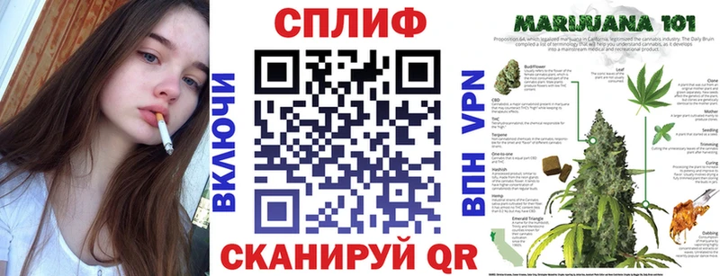 Купить закладки  Пятигорск  Каннабис тримм 